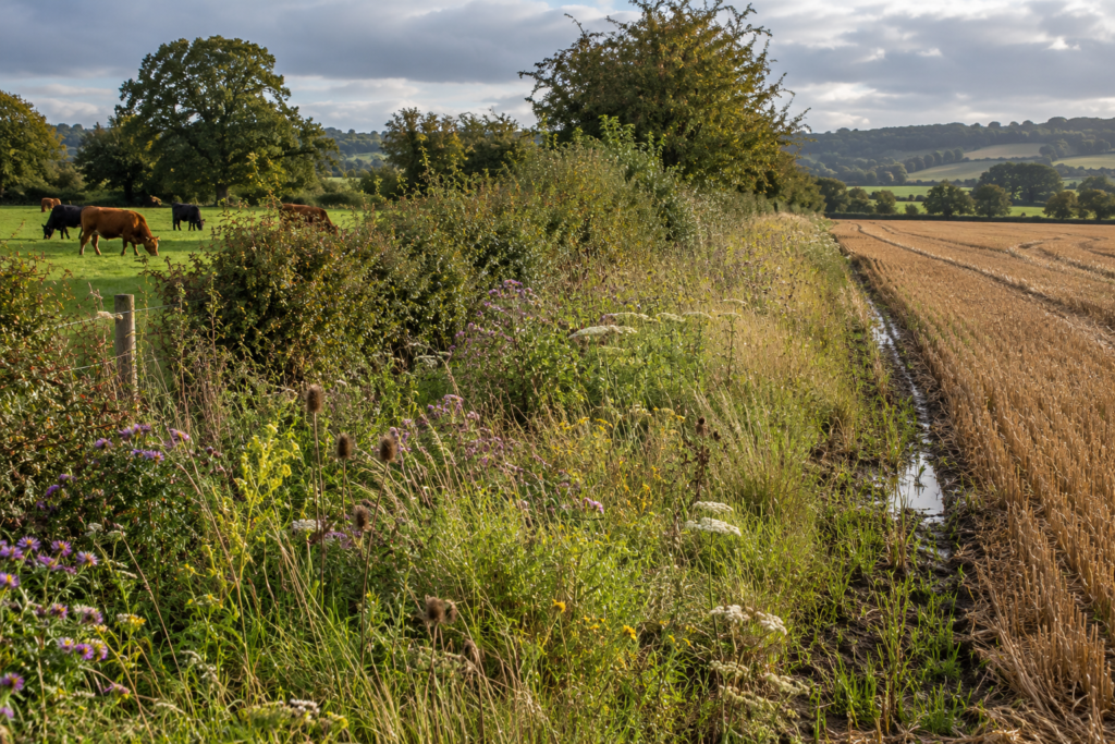 Farm land